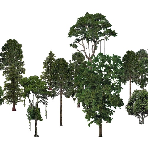 Screenshot of USA Forest, Everglades, Mixed Dense