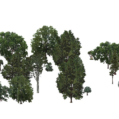 Screenshot of USA Forest, Everglades Coast, Deciduous Sparse