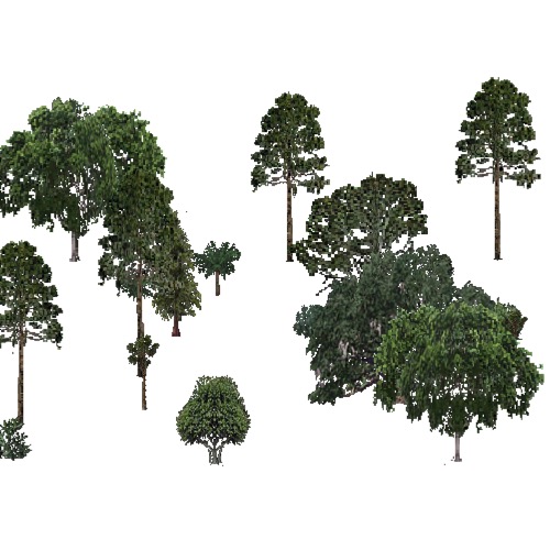 Screenshot of USA Forest, Everglades Coast, Evergreen Sparse