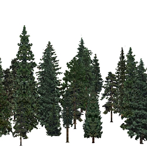 Screenshot of USA Forest, Great Plains Steppe, Evergreen Dense