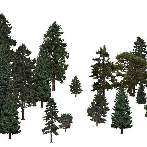 Screenshot of USA Forest, Great Plains Steppe, Evergreen Sparse