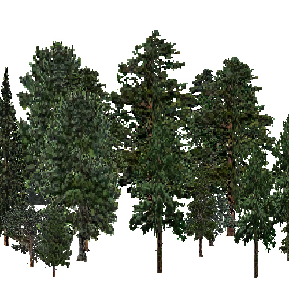 Screenshot of USA Forest, Intermountain Semi Desert, Evergreen Dense