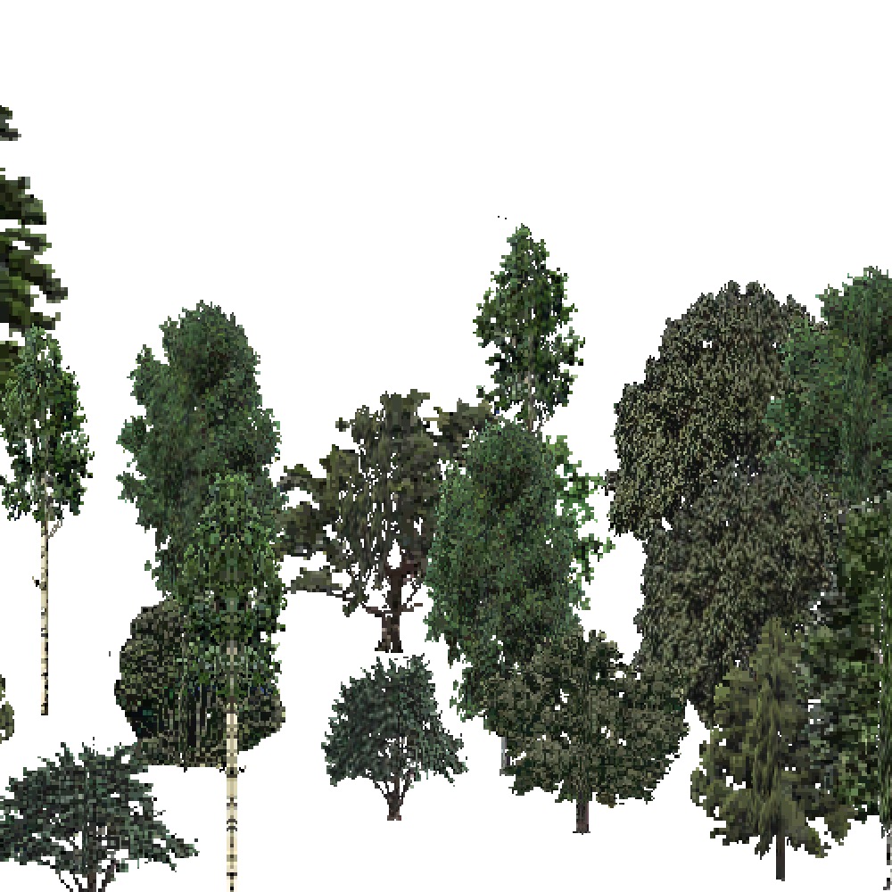 Screenshot of USA Forest, Intermountain Semi Desert, Mixed Dense