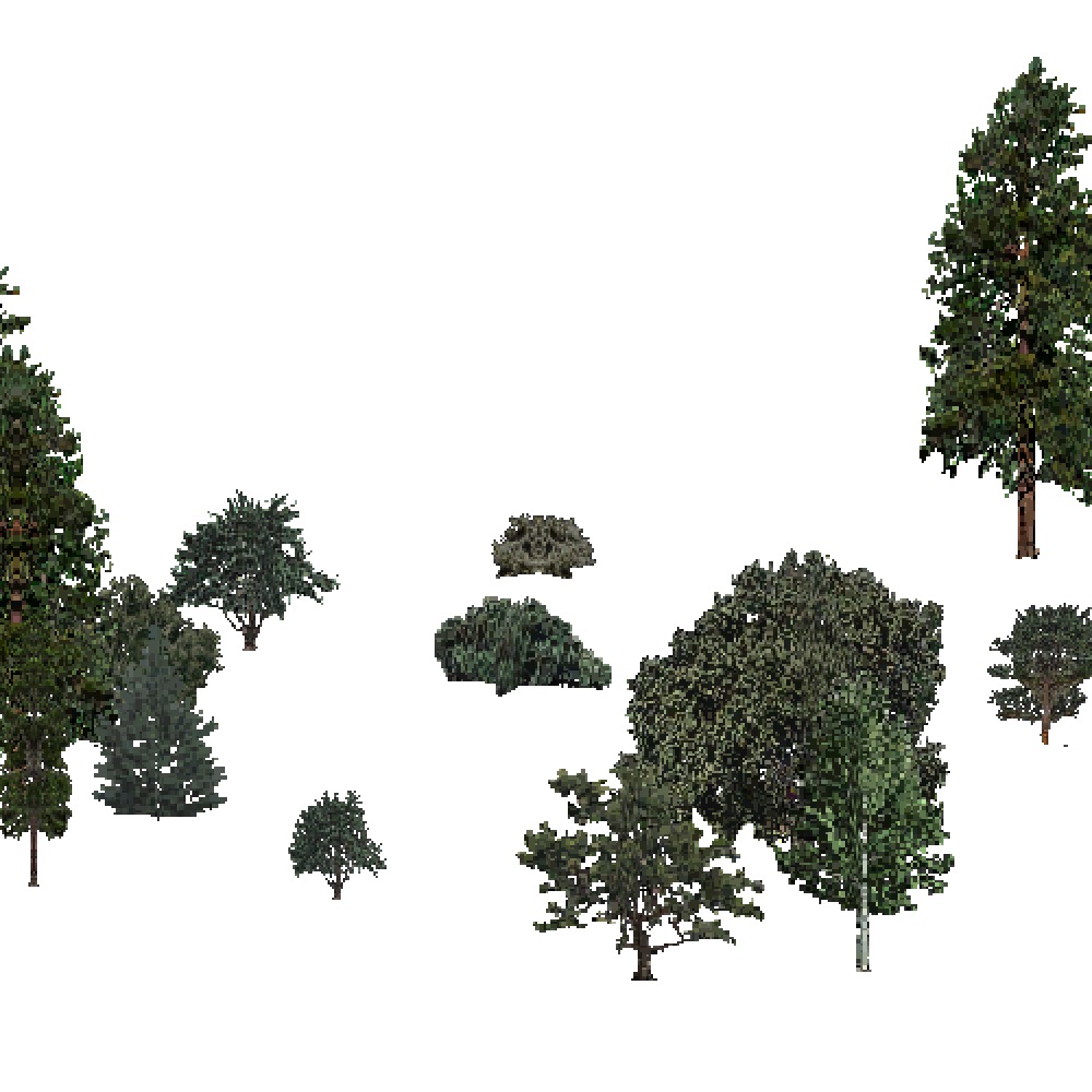 Screenshot of USA Forest, Intermountain Semi Desert, Mixed Sparse