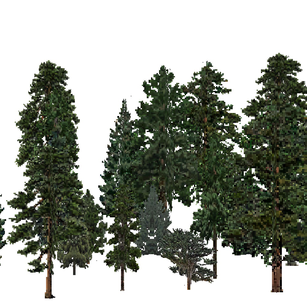 Screenshot of USA Forest, Intermountain Semi Desert And Desert, Evergreen Dense