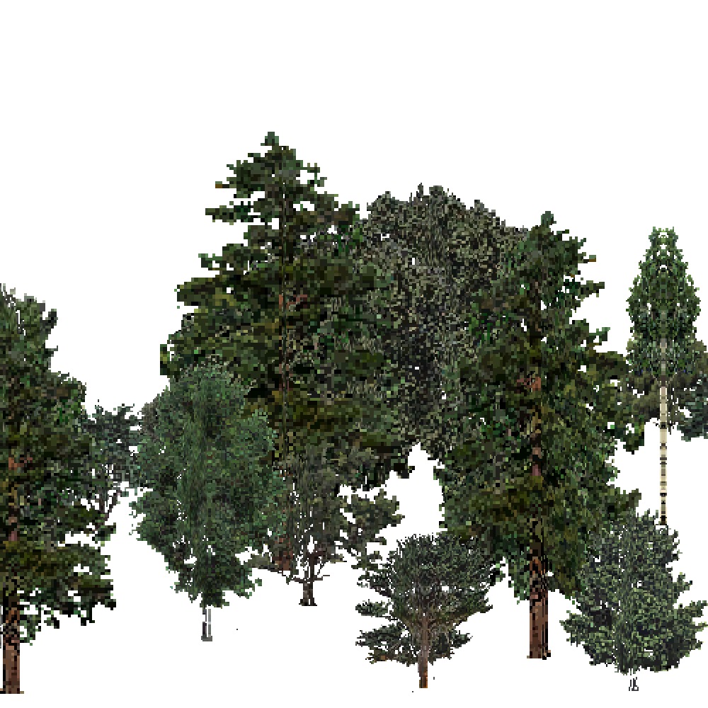 Screenshot of USA Forest, Intermountain Semi Desert And Desert, Mixed Dense