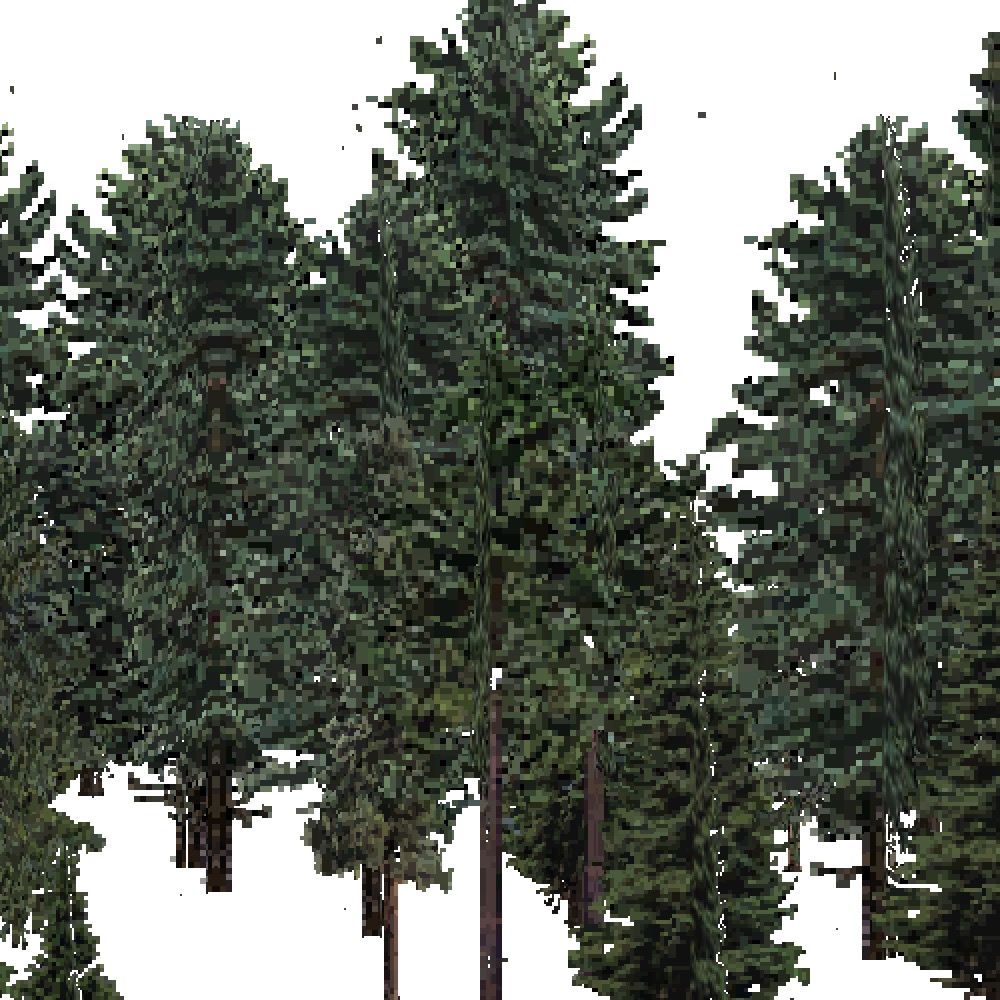 Screenshot of USA Forest, Laurentian, Evergreen Dense