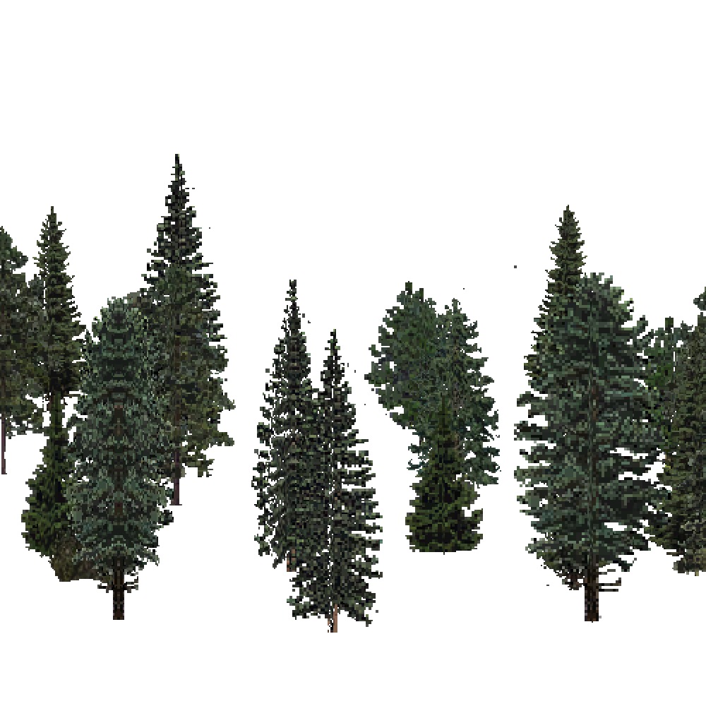 Screenshot of USA Forest, Laurentian, Evergreen Sparse