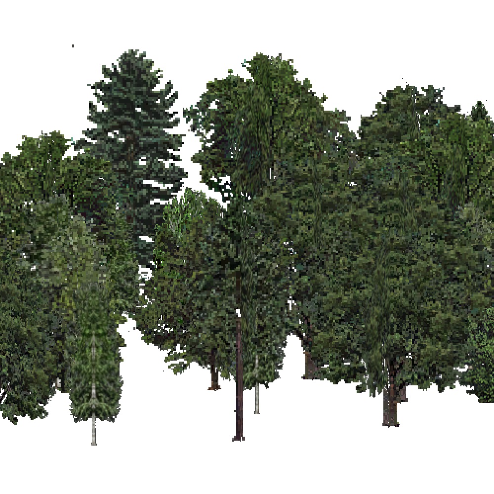 Screenshot of USA Forest, Laurentian, Mixed Dense