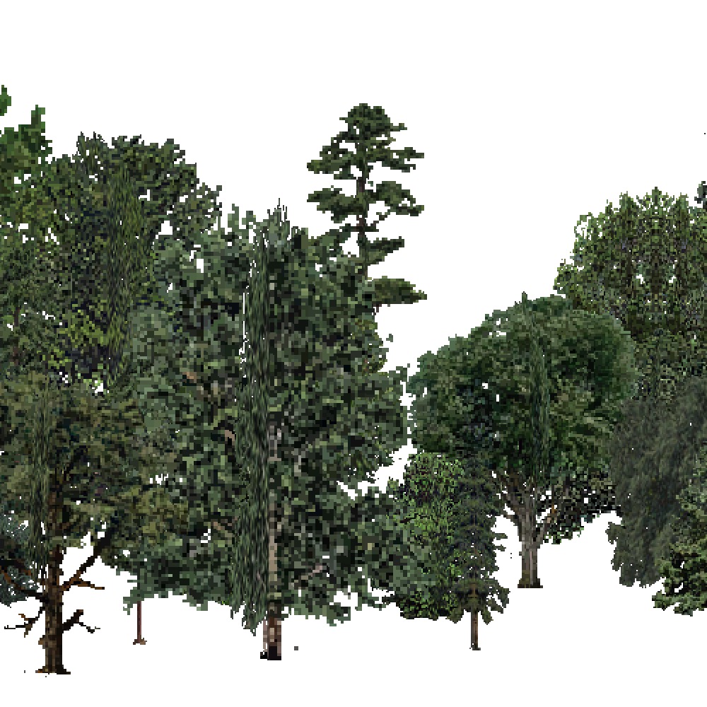 Screenshot of USA Forest, Lower Mississippi Riverine, Mixed Dense
