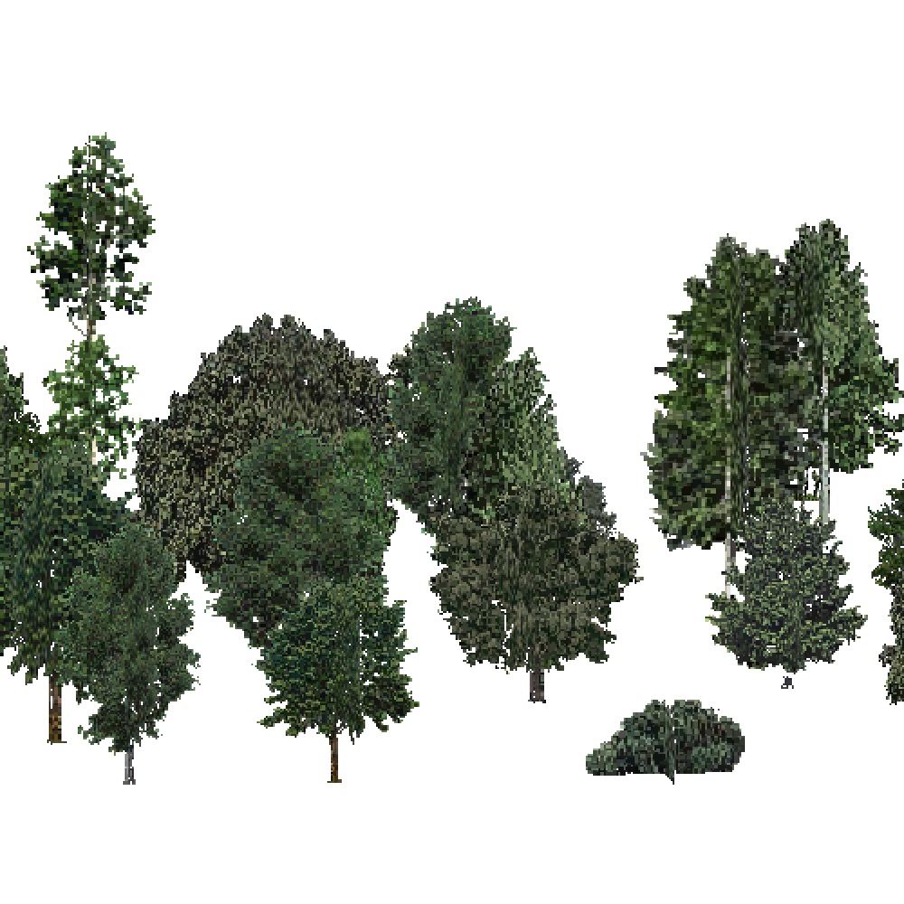 Screenshot of USA Forest, Middle Rocky Mountain, Deciduous Dense