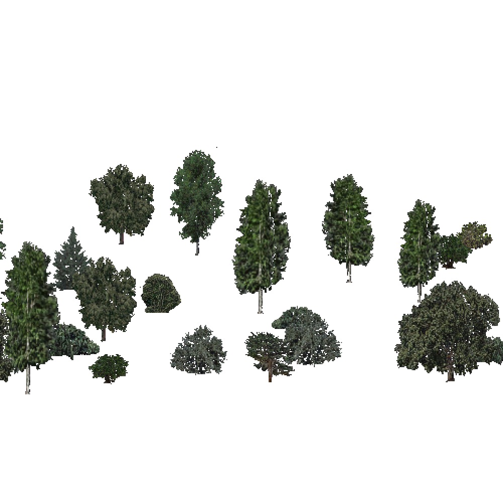 Screenshot of USA Forest, Middle Rocky Mountain, Deciduous Sparse