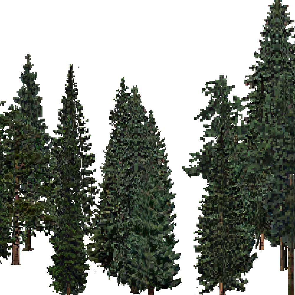 Screenshot of USA Forest, Middle Rocky Mountain, Evergreen Dense