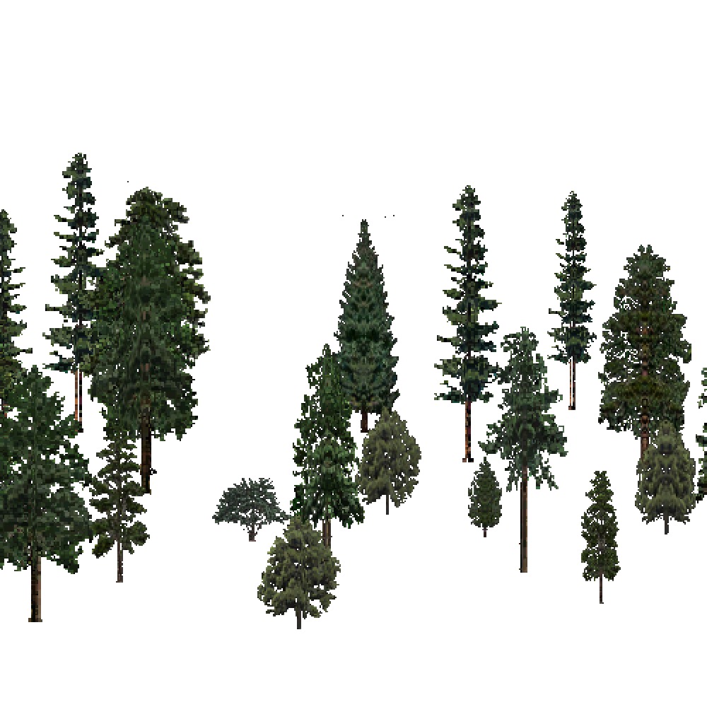 Screenshot of USA Forest, Middle Rocky Mountain, Evergreen Sparse