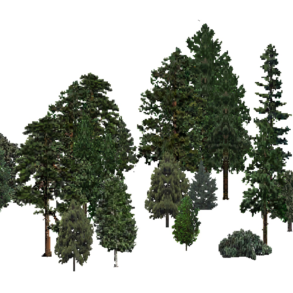 Screenshot of USA Forest, Middle Rocky Mountain, Mixed Dense