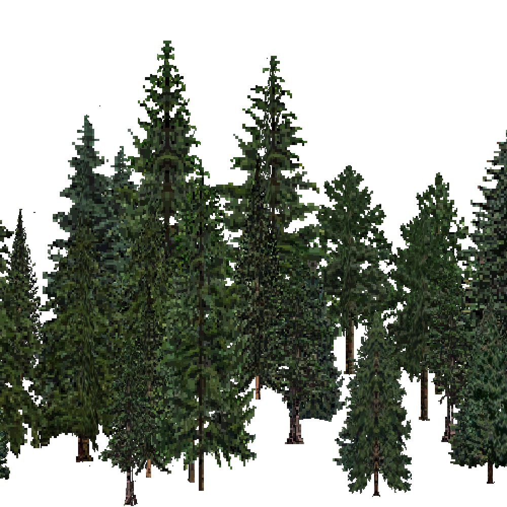 Screenshot of USA Forest, Northern Rocky Mountain, Evergreen Dense