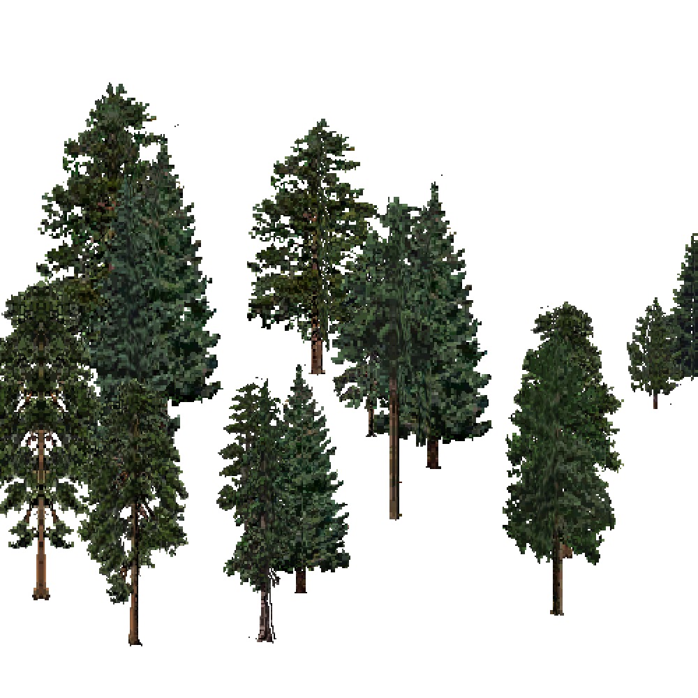 Screenshot of USA Forest, Northern Rocky Mountain, Evergreen Sparse