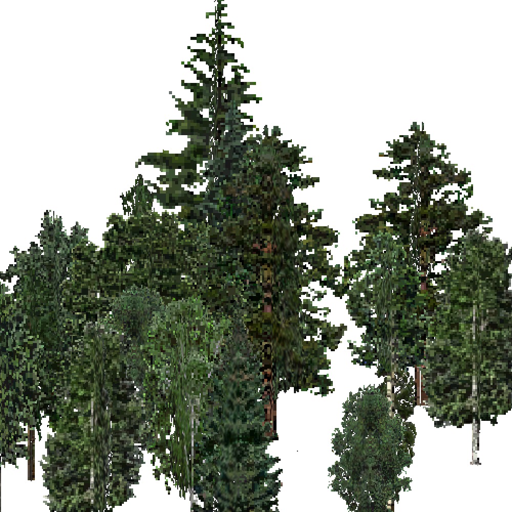 Screenshot of USA Forest, Northern Rocky Mountain, Mixed Dense