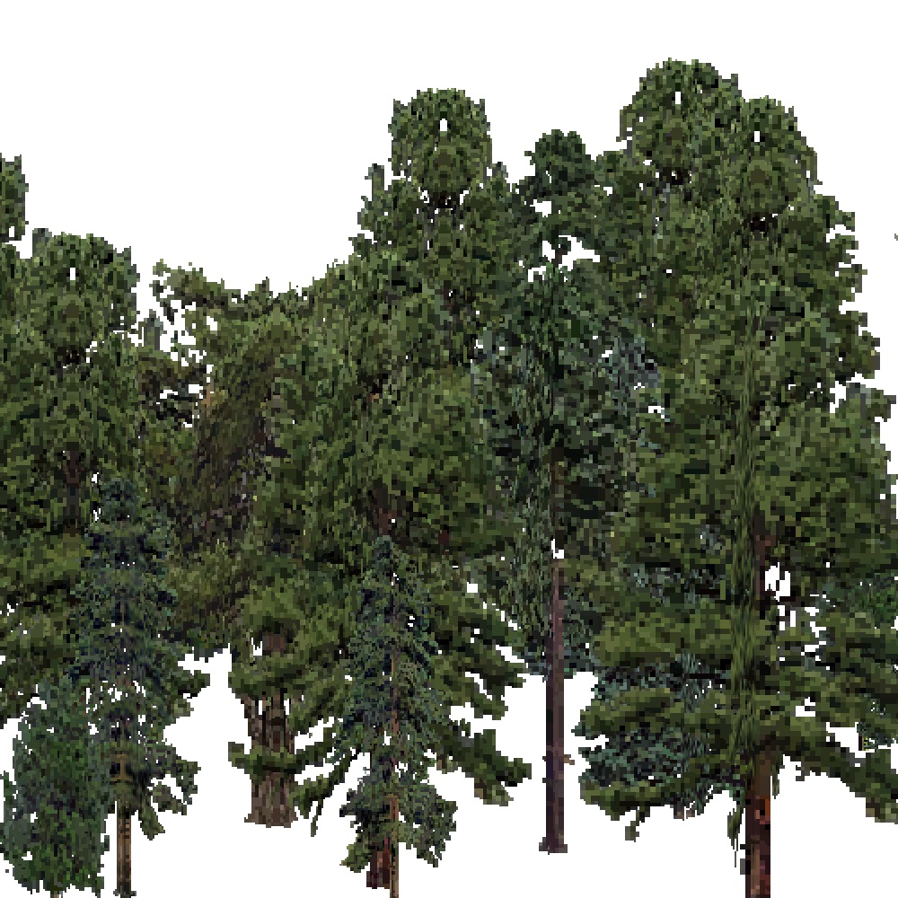 Screenshot of USA Forest, Ouachita, Evergreen Dense