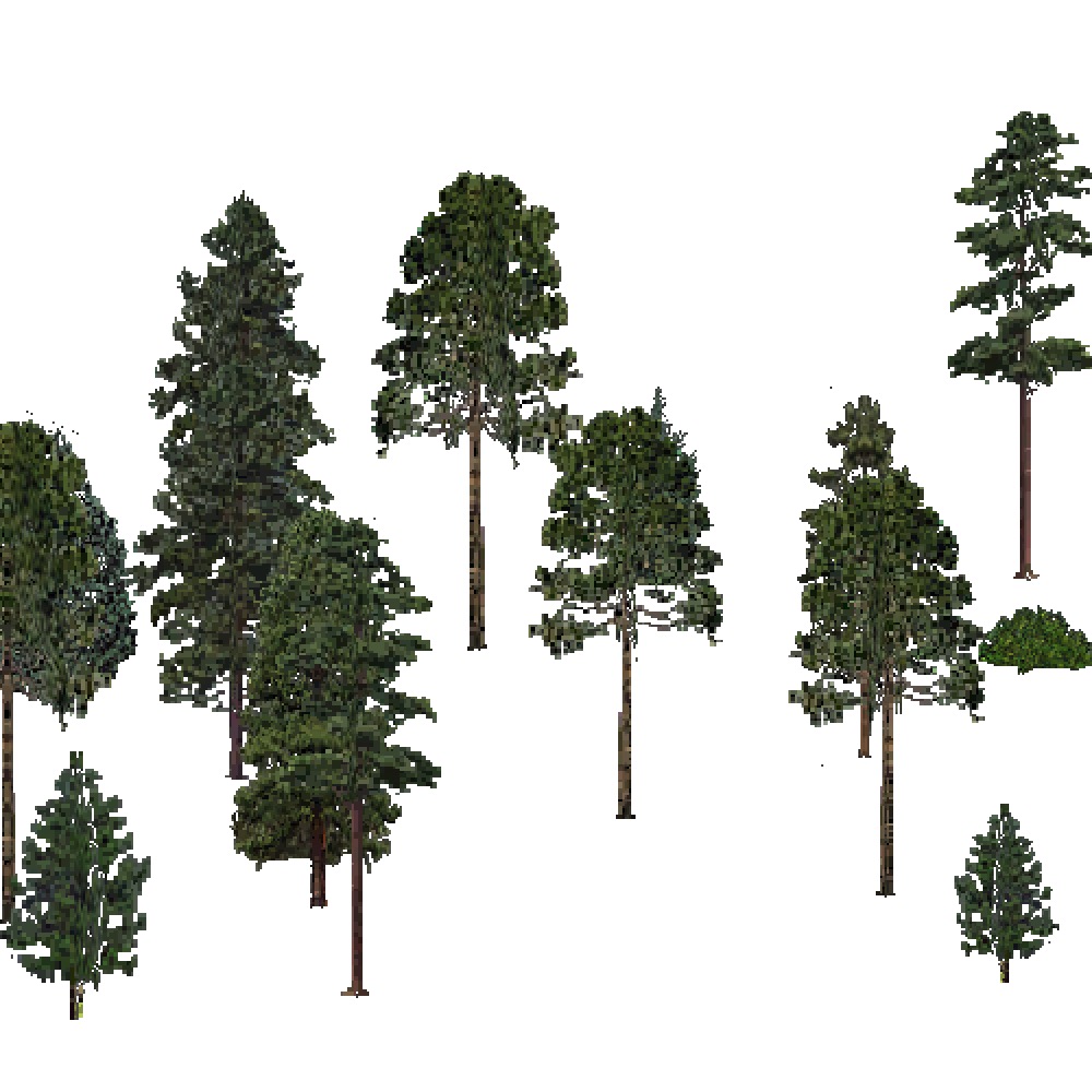 Screenshot of USA Forest, Outer Coastal Plain, Evergreen Sparse