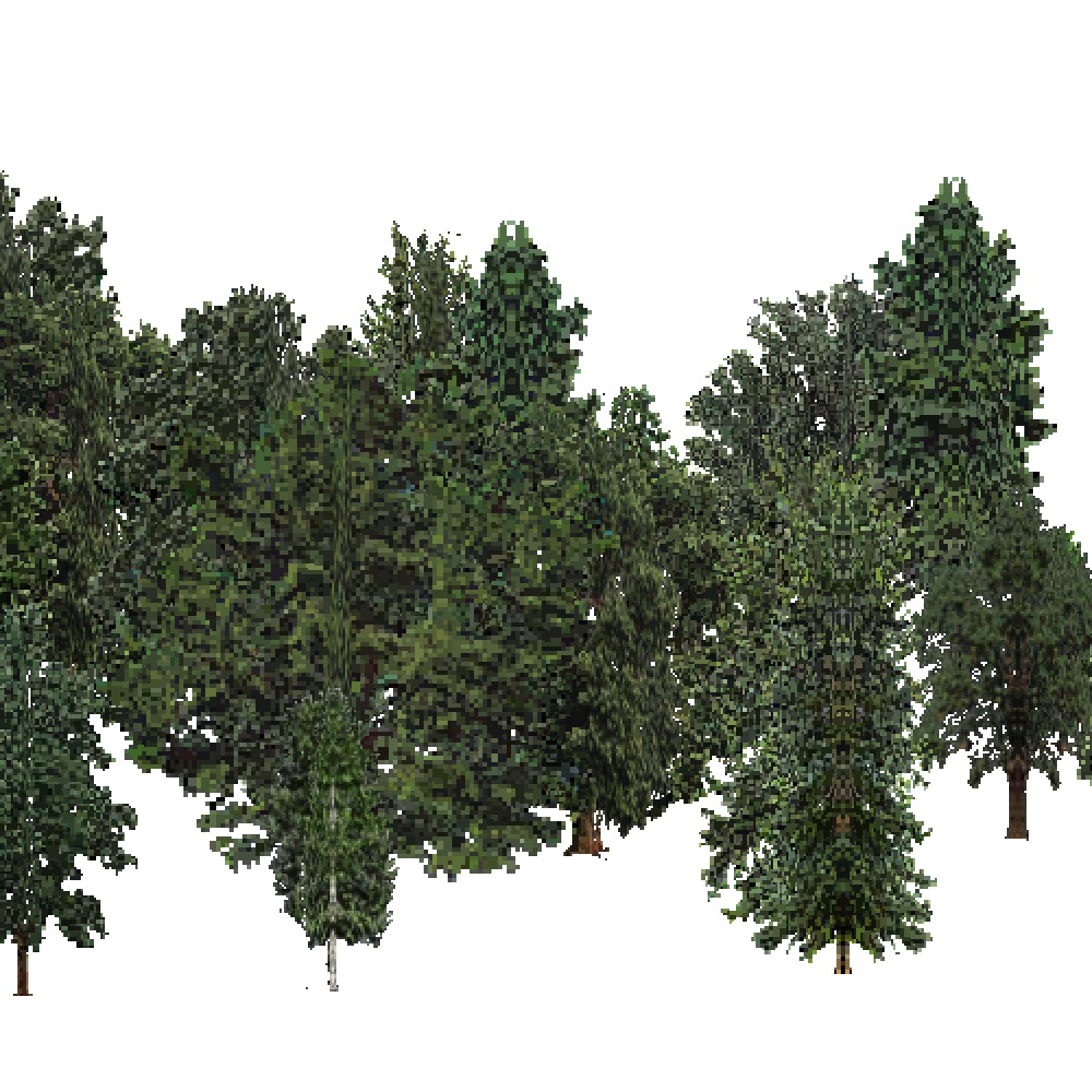 Screenshot of USA Forest, Pacific Lowland, Deciduous Dense