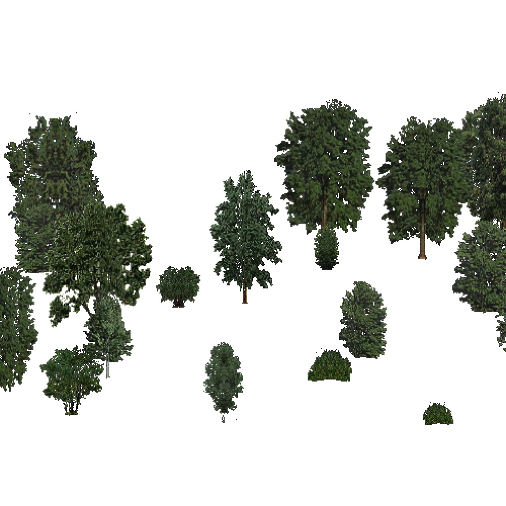 Screenshot of USA Forest, Pacific Lowland, Deciduous Sparse
