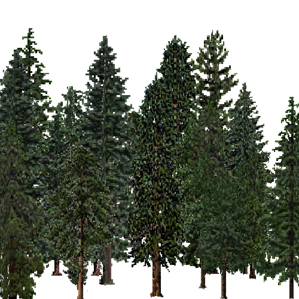 Screenshot of USA Forest, Pacific Lowland, Evergreen Dense