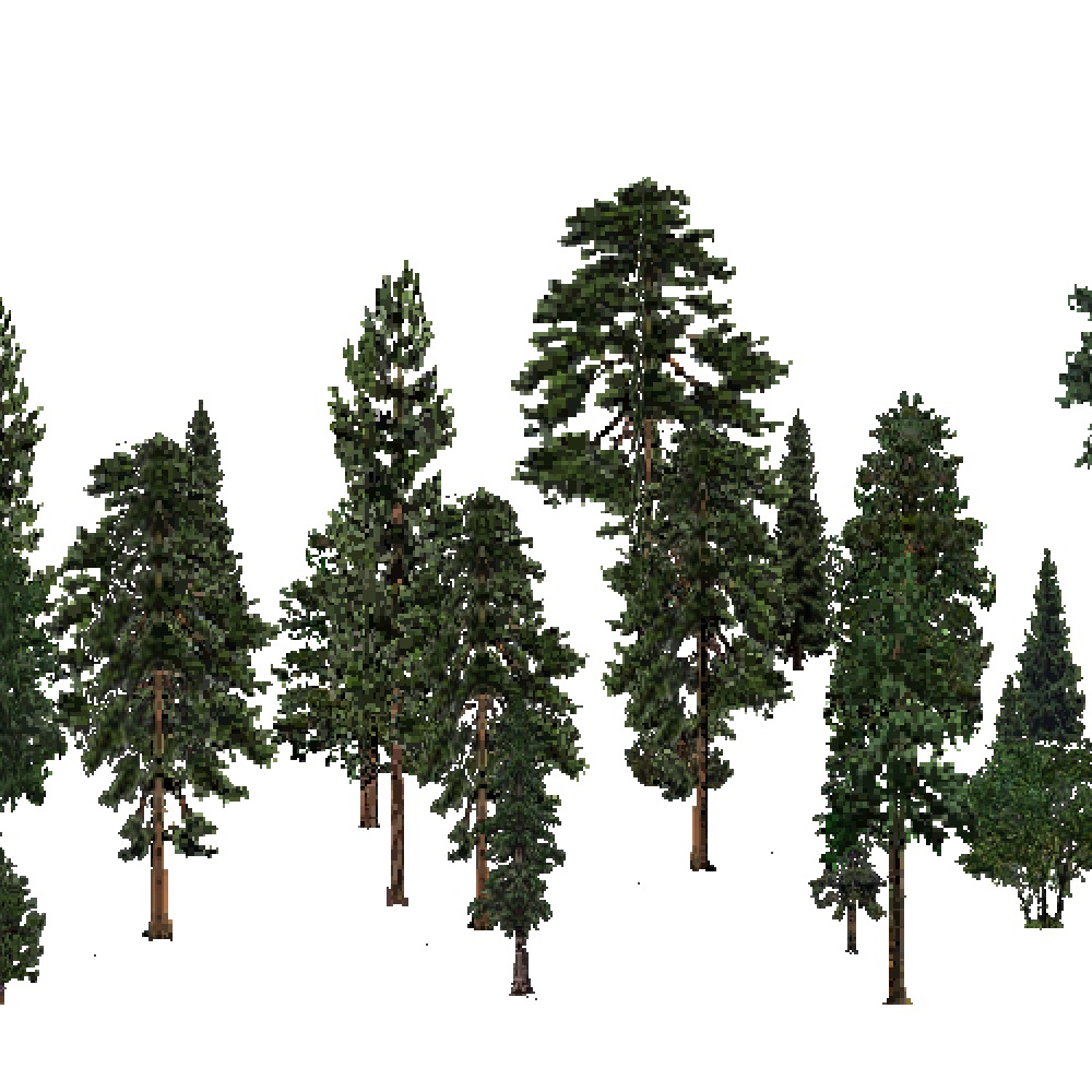 Screenshot of USA Forest, Pacific Lowland, Evergreen Sparse