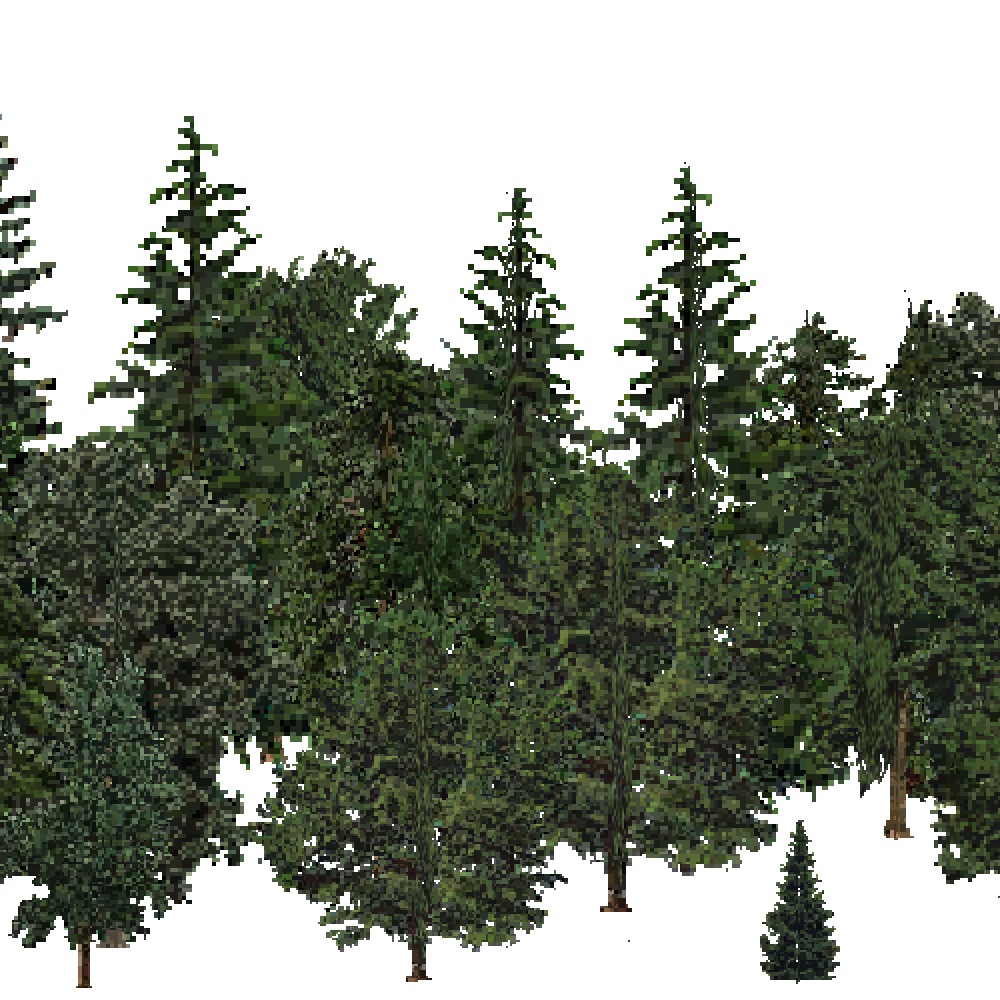 Screenshot of USA Forest, Pacific Lowland, Mixed Dense
