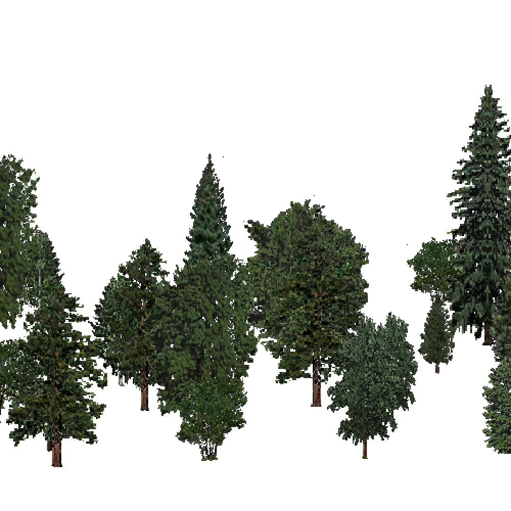 Screenshot of USA Forest, Pacific Lowland, Mixed Sparse