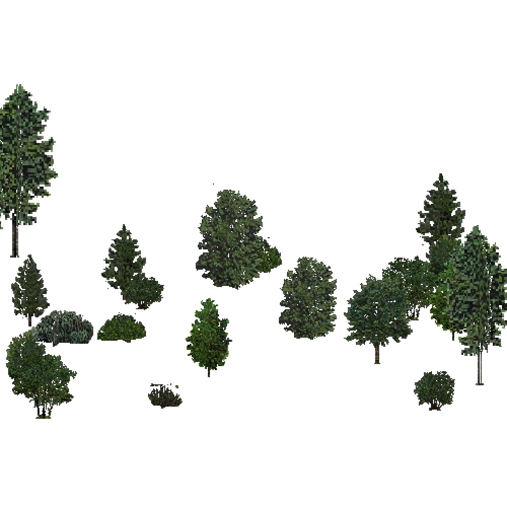 Screenshot of USA Forest, Pacific Lowland, Shrub