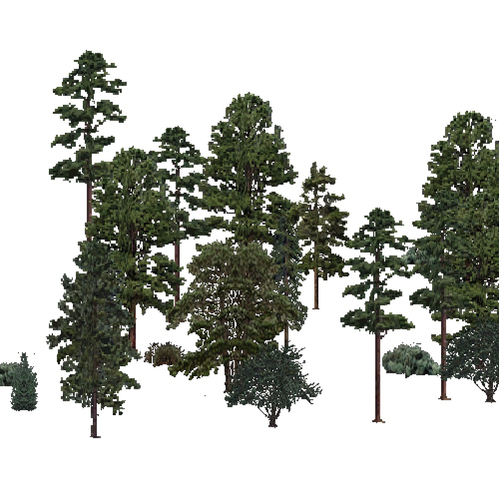 Screenshot of USA Forest, Prairie Parkland Subtropical, Evergreen Sparse