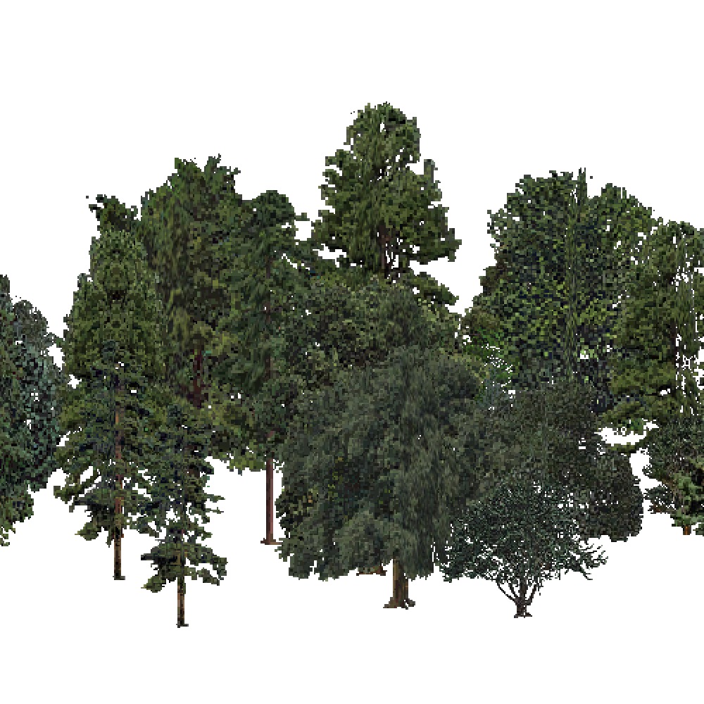 Screenshot of USA Forest, Prairie Parkland Subtropical, Mixed Dense