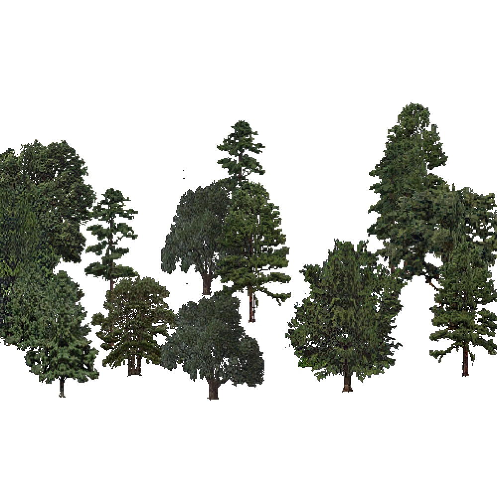 Screenshot of USA Forest, Prairie Parkland Subtropical, Mixed Sparse