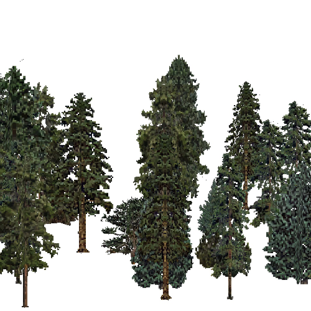 Screenshot of USA Forest, Prairie Parkland Temperate, Evergreen Dense