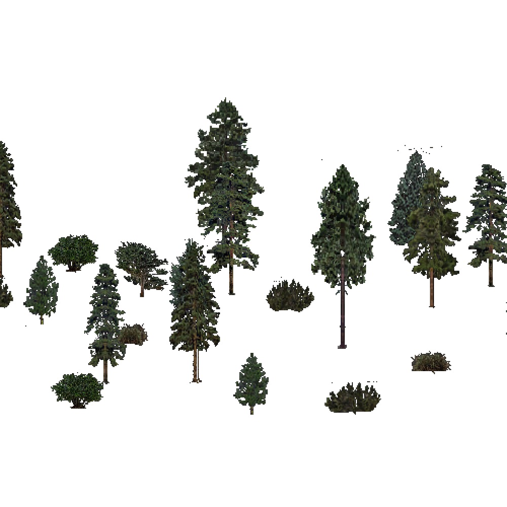 Screenshot of USA Forest, Prairie Parkland Temperate, Evergreen Sparse