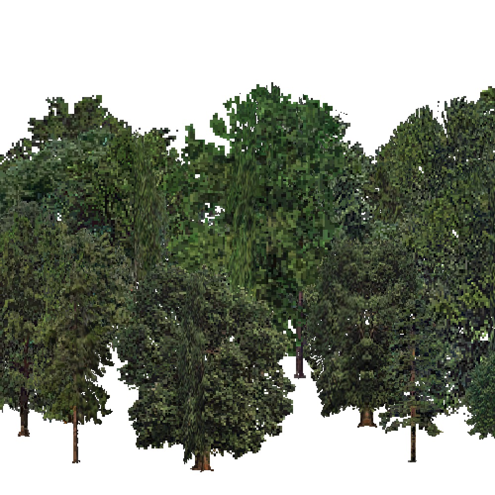 Screenshot of USA Forest, Prairie Parkland Temperate, Mixed Dense