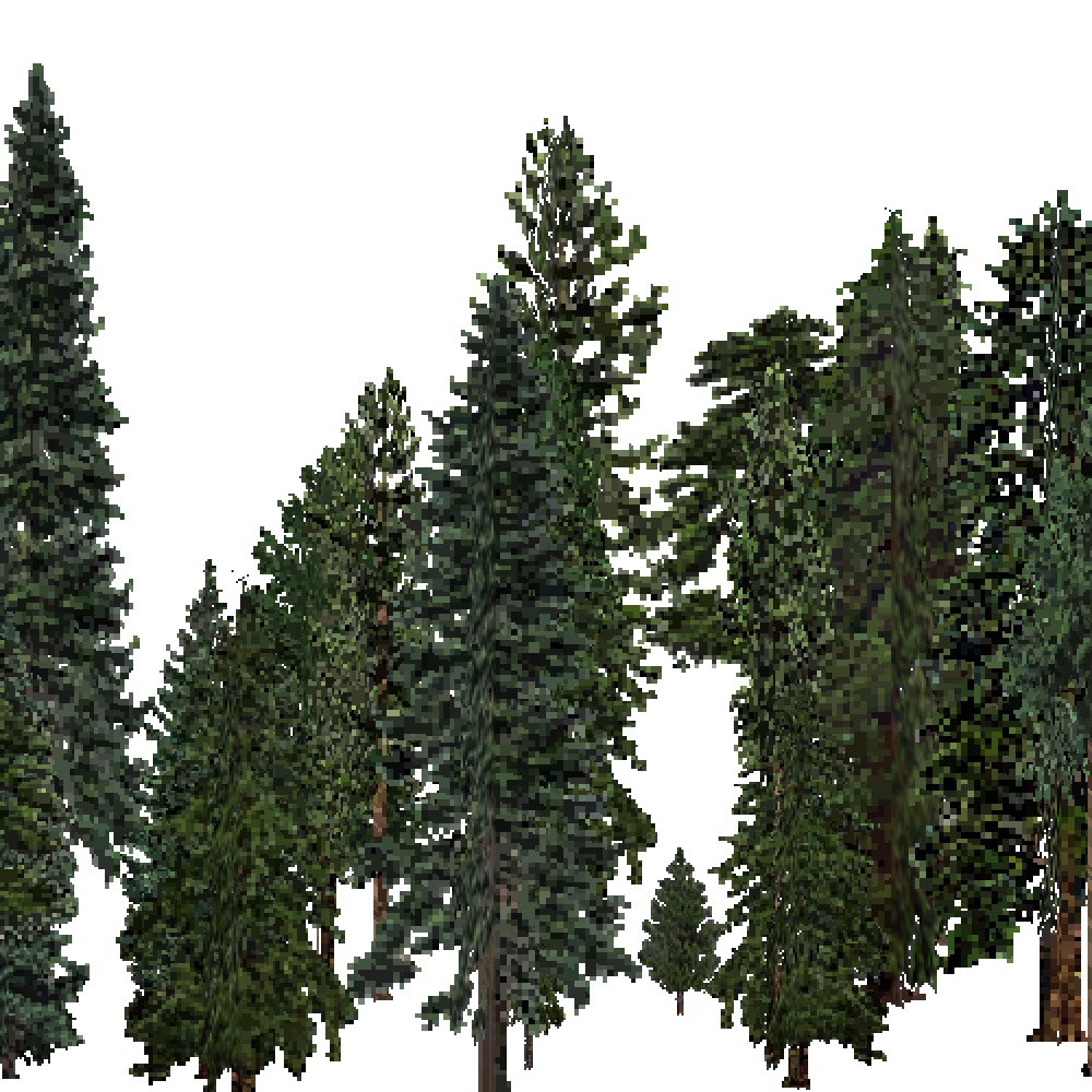 Screenshot of USA Forest, Sierran Steppe, Evergreen Dense