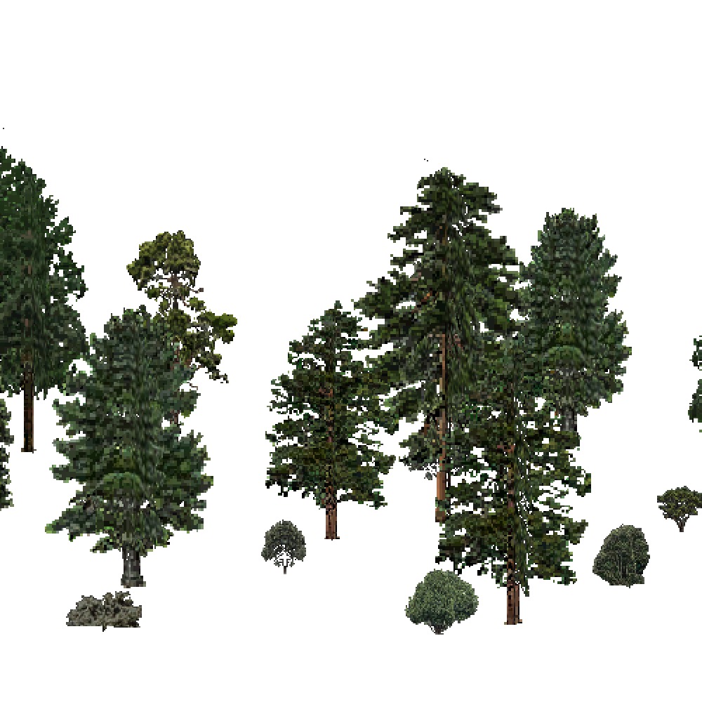 Screenshot of USA Forest, Sierran Steppe, Evergreen Sparse