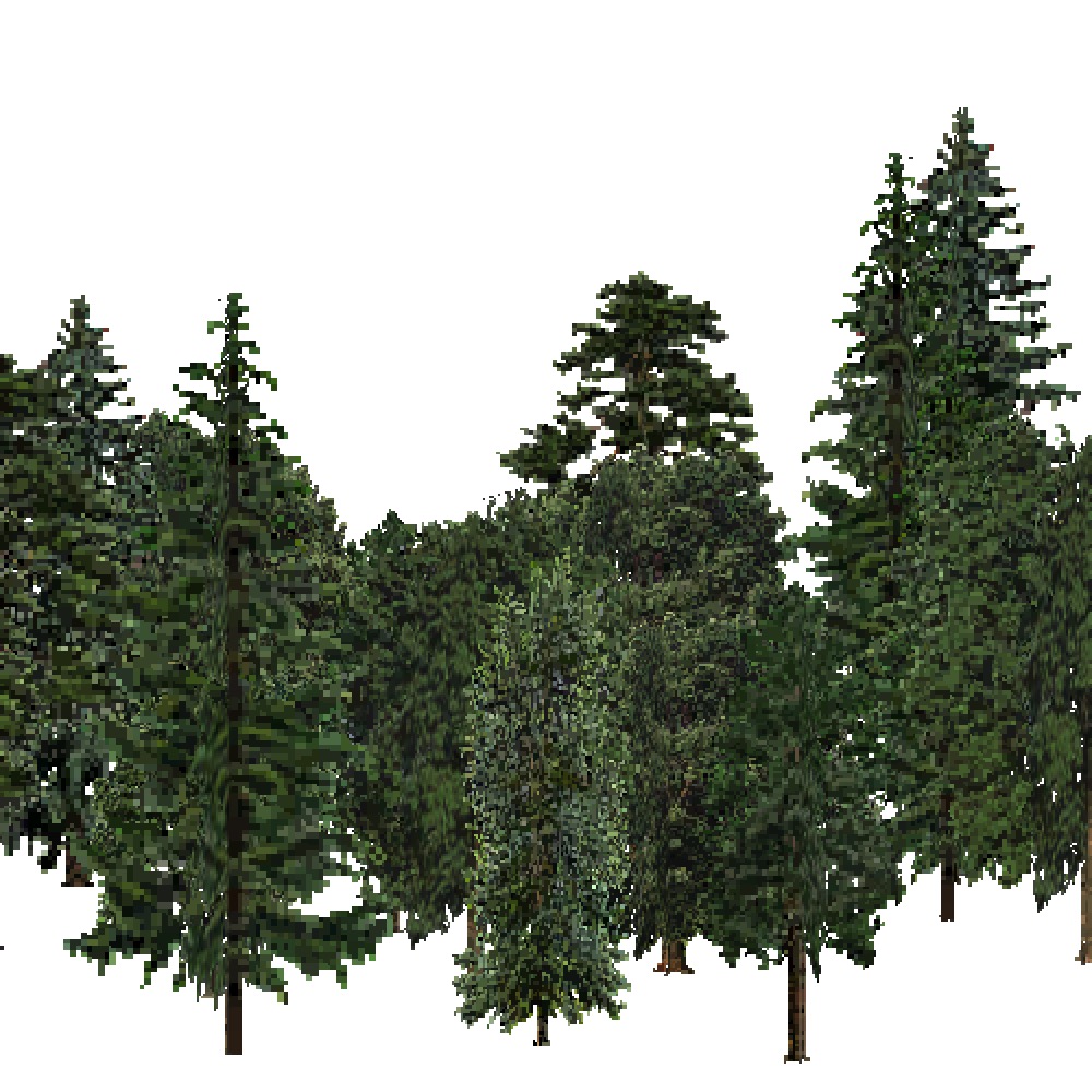 Screenshot of USA Forest, Sierran Steppe, Mixed Dense