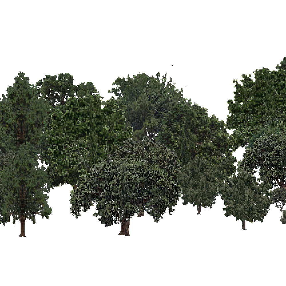 Screenshot of USA Forest, Sierran Steppe Sequoias, Deciduous Dense