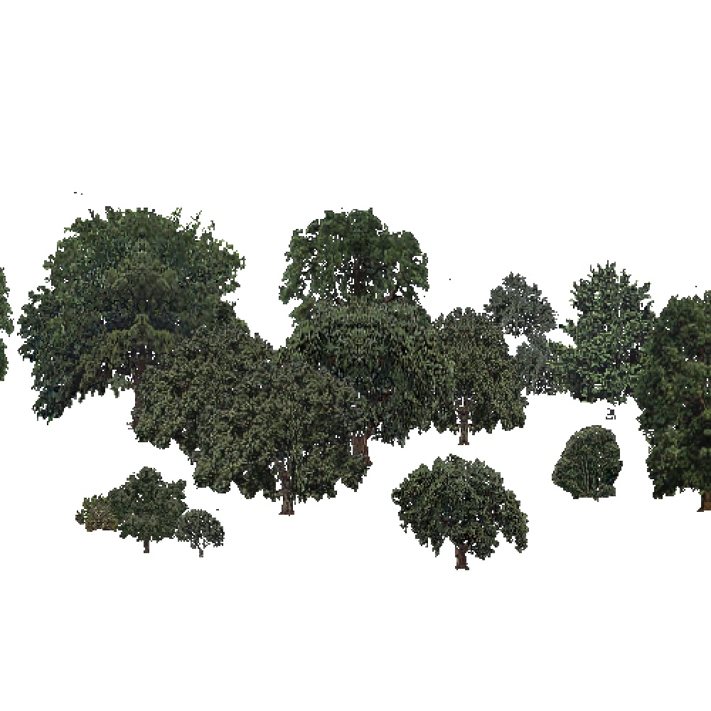 Screenshot of USA Forest, Sierran Steppe Sequoias, Deciduous Sparse