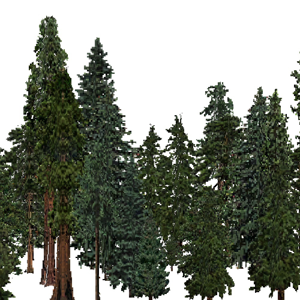 Screenshot of USA Forest, Sierran Steppe Sequoias, Evergreen Dense