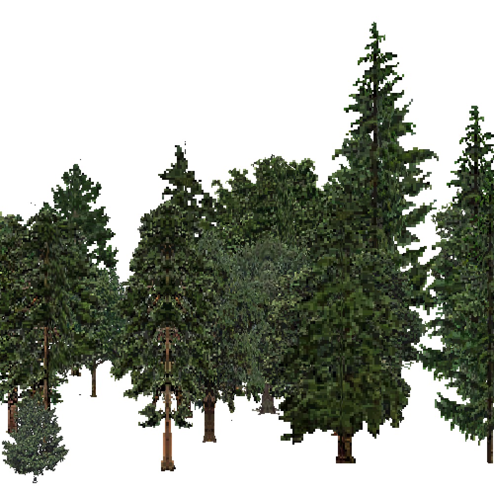 Screenshot of USA Forest, Sierran Steppe Sequoias, Mixed Dense