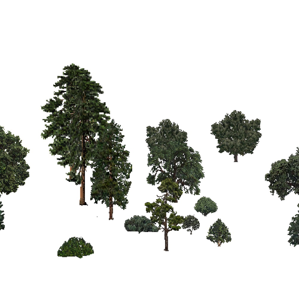 Screenshot of USA Forest, Sierran Steppe Sequoias, Mixed Sparse