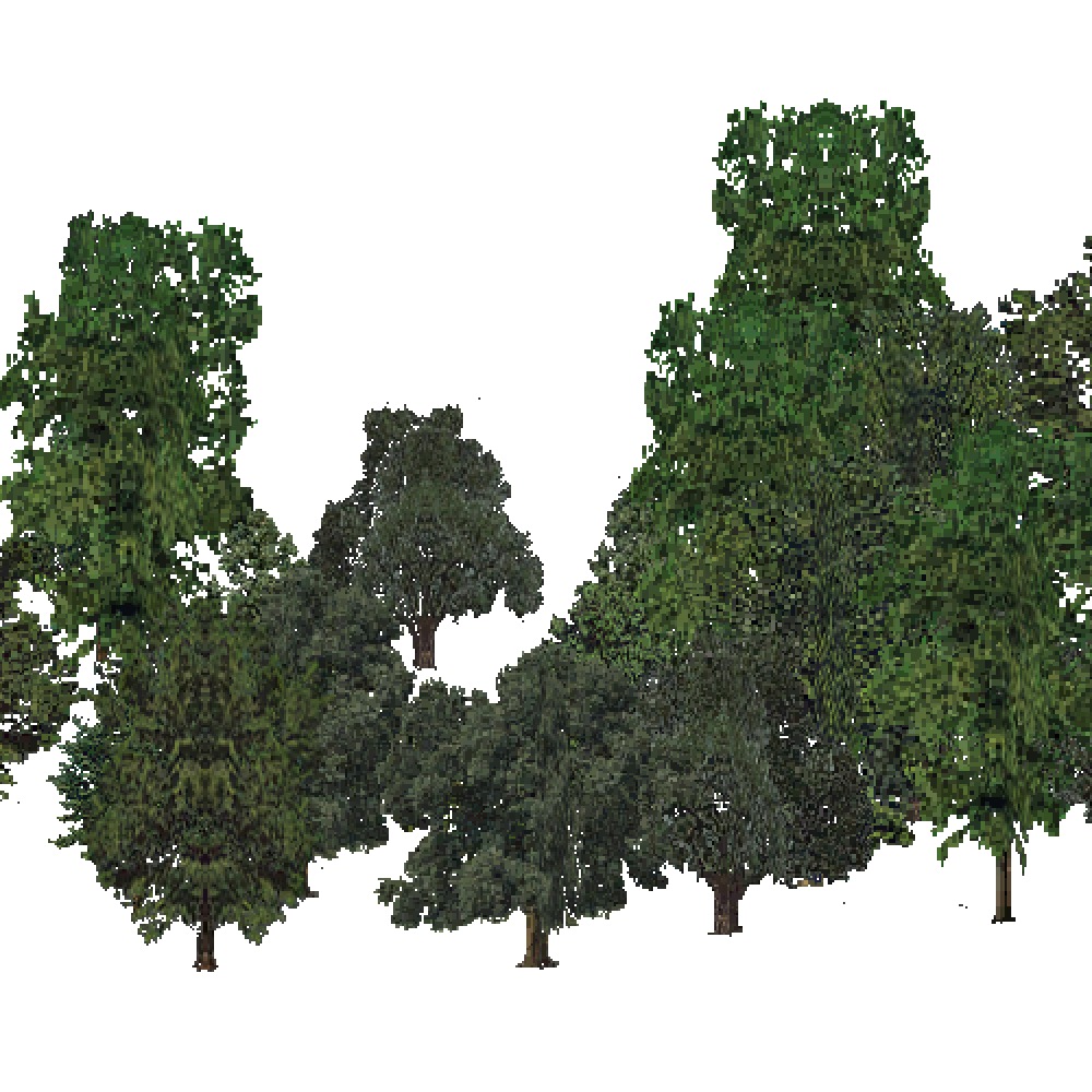 Screenshot of USA Forest, Southeastern, Deciduous Dense