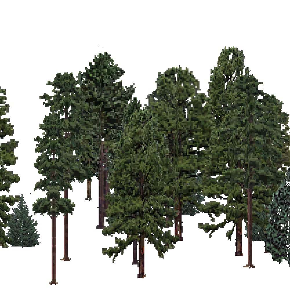 Screenshot of USA Forest, Southeastern, Evergreen Dense