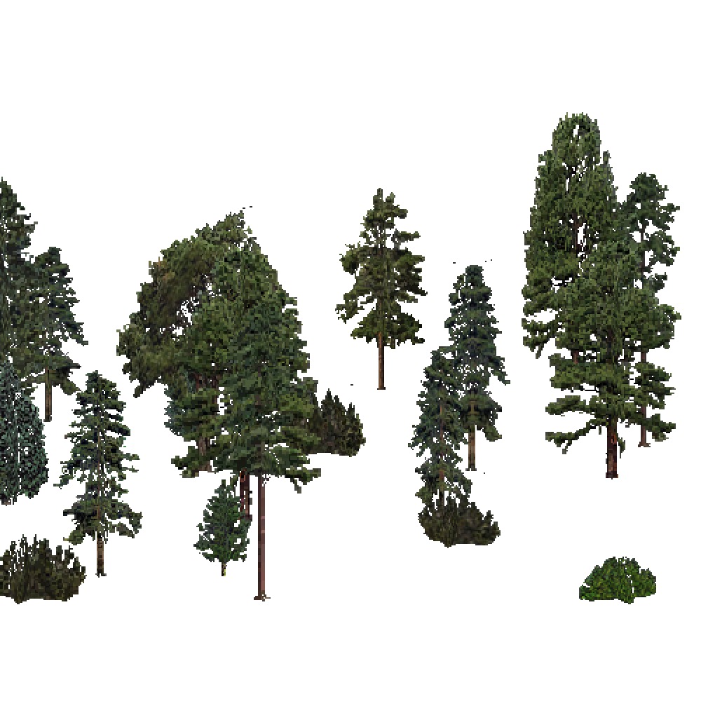 Screenshot of USA Forest, Southeastern, Evergreen Sparse