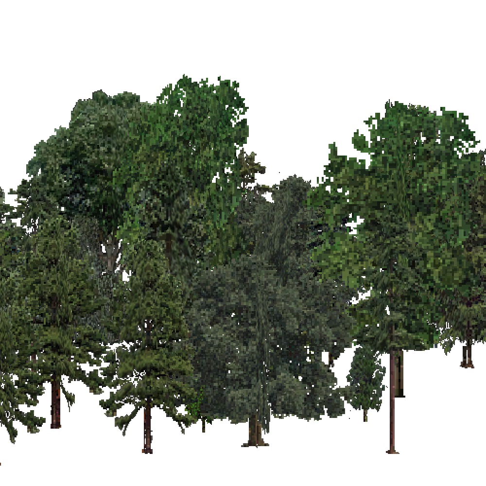 Screenshot of USA Forest, Southeastern, Mixed Dense