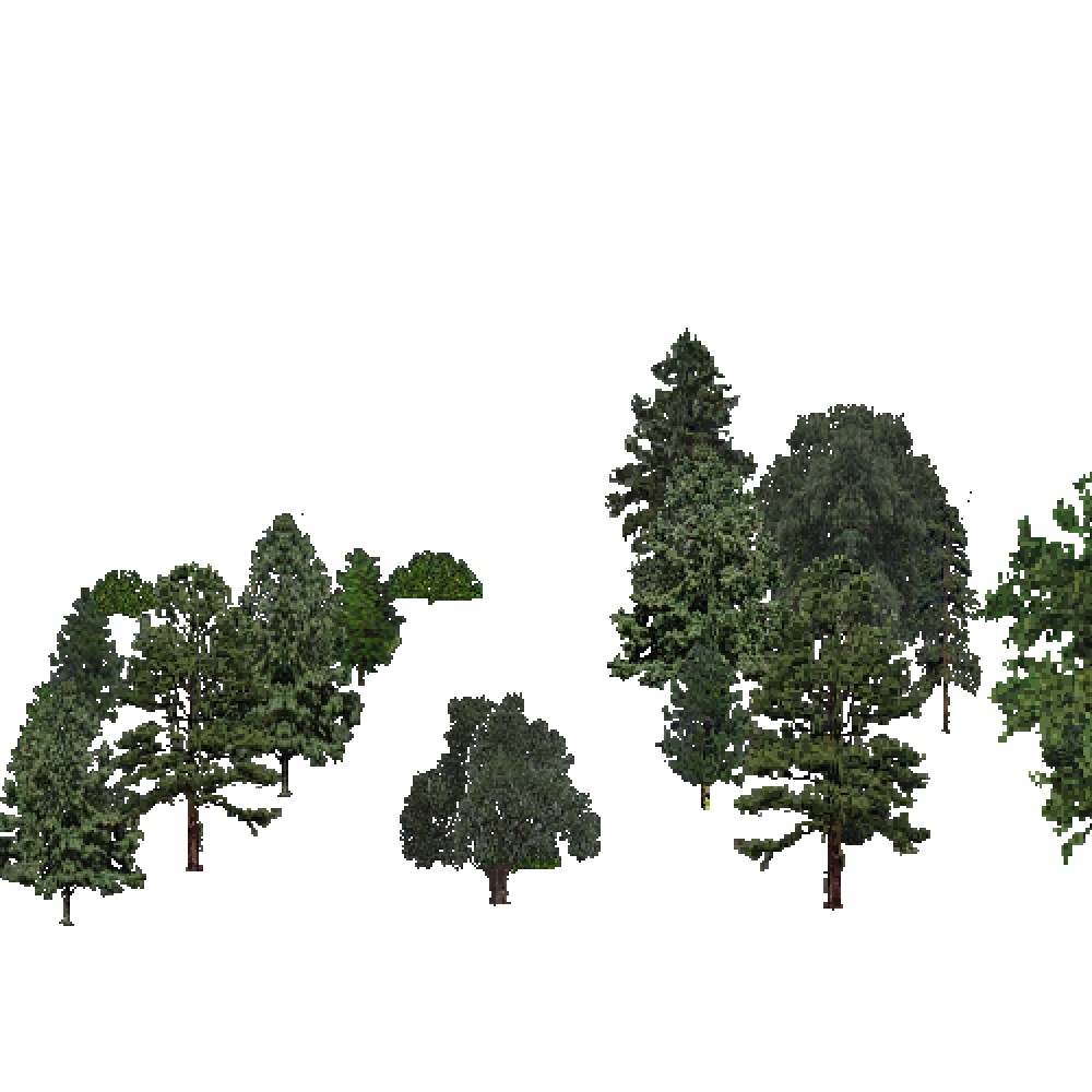 Screenshot of USA Forest, Southeastern, Mixed Sparse